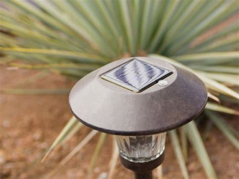 Best Outdoor Solar Spotlights For Landscape Lighting