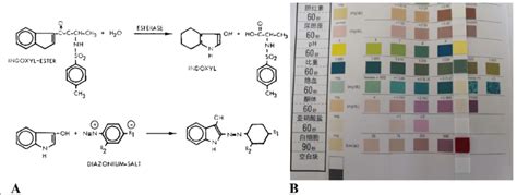 a Molecular formula of leukocyte esterase [12]. b Detection of ...