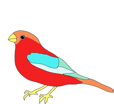 Bird Drawing For Kids With Colour