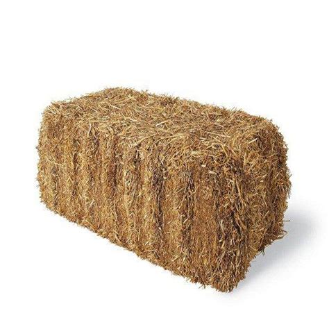 Baled Wheat Straw-875333 - The Home Depot