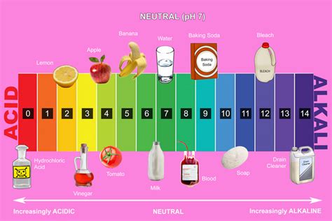 PH Scale Examples