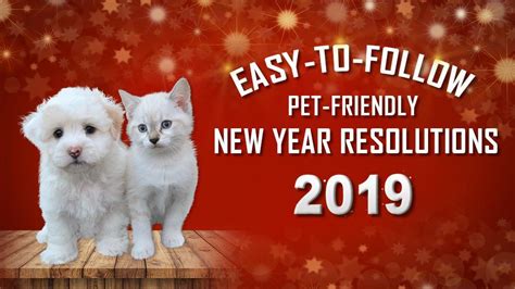 18 Easy-To-Follow New Year Resolutions For Pet Lovers - Petmoo