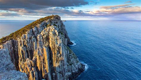 History, language and culture in Tasmania