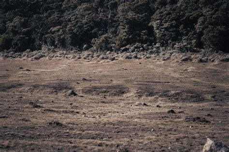 Premium Photo | Photo from the gunung gede national park square