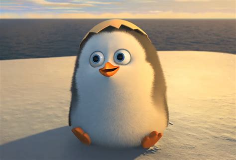 BABY PRIVATE - Die Pinguine aus Madagascar Foto (37412623) - Fanpop