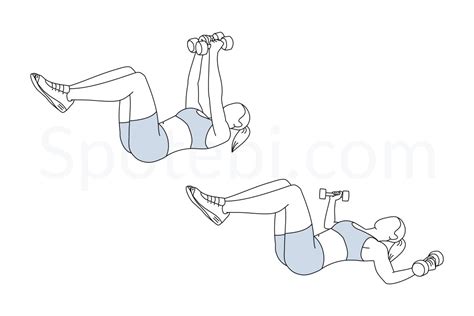 Chest Fly | Illustrated Exercise Guide