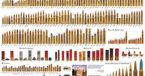 Ammo and Gun Collector: Standard Cartridges