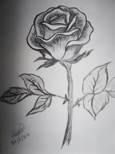 Pencil Sketch Images Flowers at PaintingValley.com | Explore collection ...