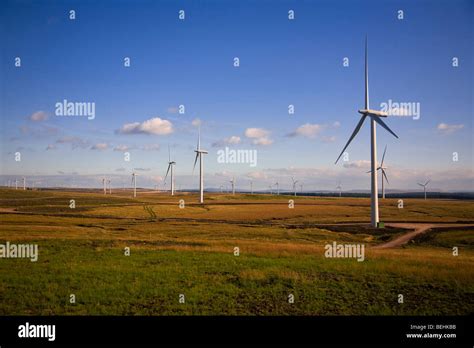 Wind farm whitelee hi-res stock photography and images - Alamy