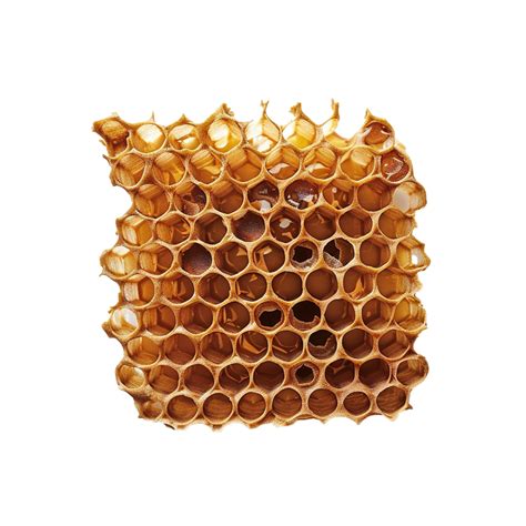 Ai Generated Honeycomb Png Isolated On Transparent Background 41924441 Png