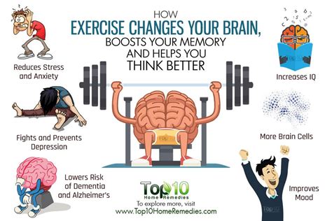 How Exercise Changes Your Brain, Boosts Your Memory and Helps You Think ...