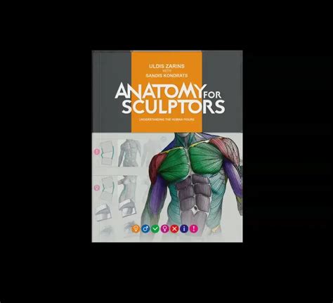 Anatomy For Sculptors | Anatomy Book Series For Artists