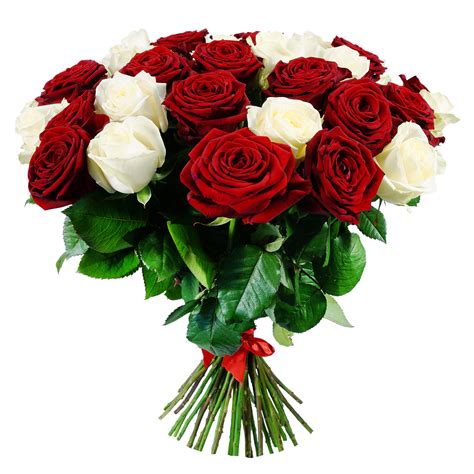 Simple Love White & Red Roses Bouquet - FloralBASH