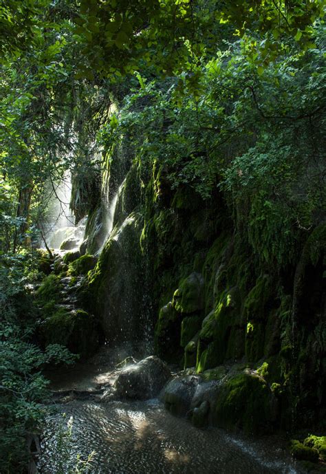 Gorman Falls - Colorado Bend State Park - Texas by Steve-Thorpe on ...