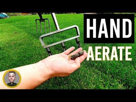 3 lawn aeration tools and when to use solid and hollow tine – Artofit