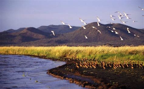 6 Days Lake Nakuru, Baringo, Naivasha & Masai Mara | Camping Safari ...