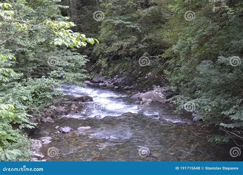 Abkhazia. Beautiful nature stock photo. Image of cypress - 191715648