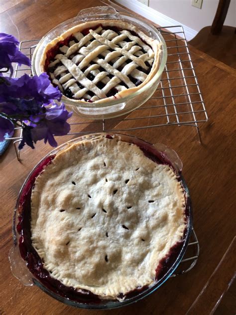 Saskatoon Berry Pie | Berry pie, Saskatoon berry, Love eat