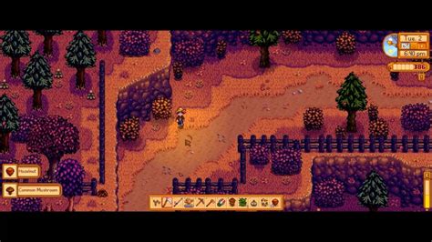 Stardew valley leo - mokasinfull