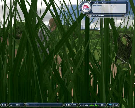 Download Tiger Woods PGA Tour 2004 (Windows) - My Abandonware