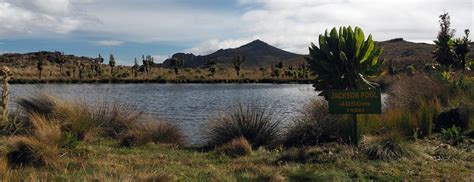 Mount. Elgon National Park | Hiking | Best Time To Visit