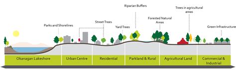 Sustainable Urban Forest Strategy | Get Involved Kelowna