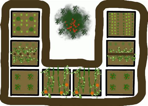 Vegetable Garden Layout