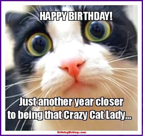 Funny Happy Birthday Memes With cats, Dogs & Funny Animals