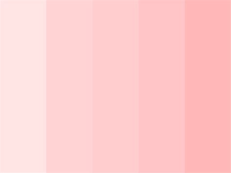 Soft Pink Color Palette