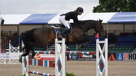 5 Best Showjumping Horse Breeds: Finding Your Perfect Fit