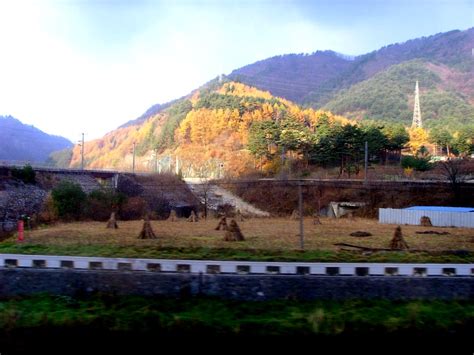 The Snowy Spectacle Of The Taebaek Mountains