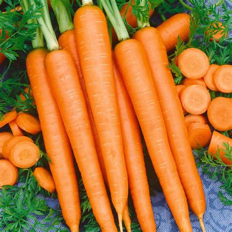 Tendersweet Carrot Seeds - 5 Lb - Non-GMO, Heirloom Vegetable Garden ...