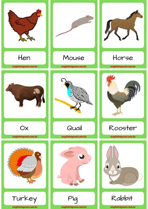 farm animals flashcards