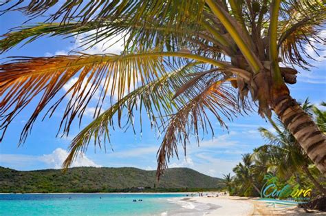 Flamenco Beach, Culebra, Puerto Rico - 2024 Visiting Guide - Updated