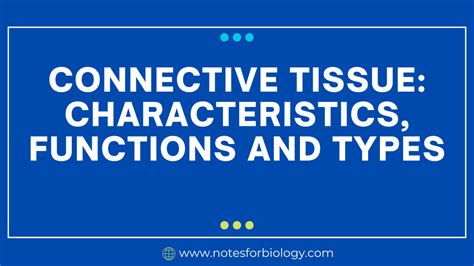 Connective tissue: characteristics, functions and types