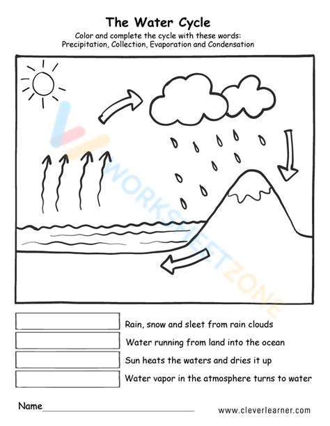 Free Printable & Interactive Life Cycle Worksheets