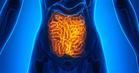 Bowel transplant - Introduction