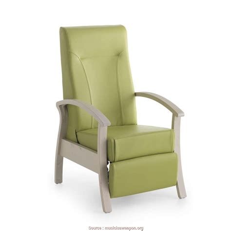 50+ Armchairs for Elderly & Guide How to Choose The Best - Ideas on Foter