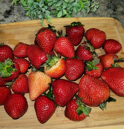 Easy Strawberry Jam - The Four Acre Farm