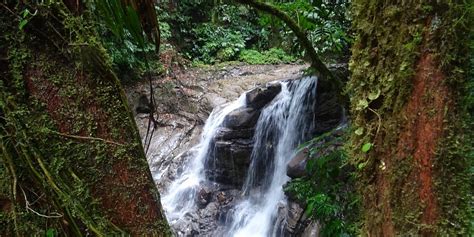 Puerto Limon, Costa Rica 2023: Best Places to Visit - Tripadvisor