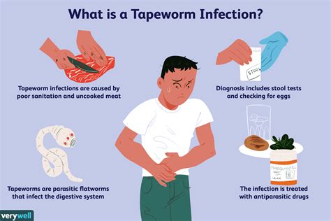 Tapeworm Eggs In Human Poop