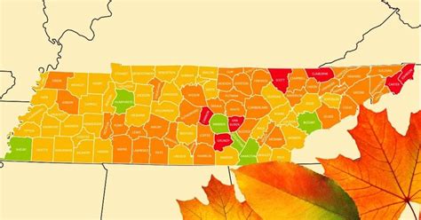 Now You Can See an Interactive Tennessee Fall Foliage Map (2024 ...