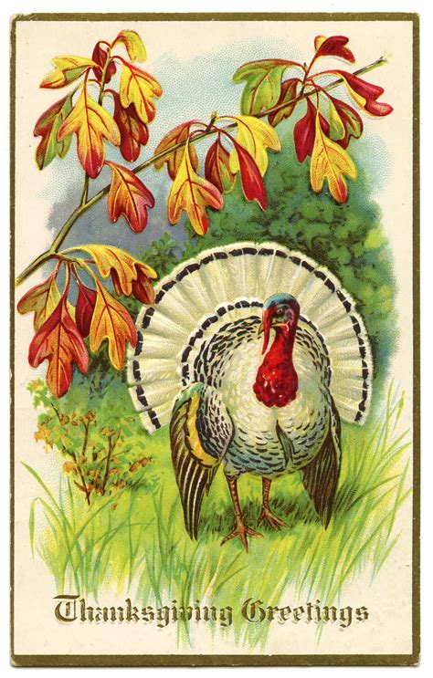 Vintage Thanksgiving Clip Art - White Turkey - The Graphics Fairy