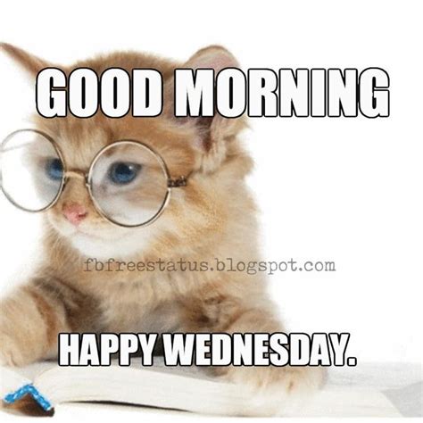 Happy Wednesday Memes