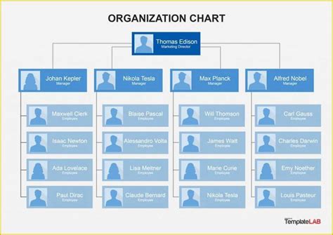 Business Structure Template Free Of Excel Templates organizational ...