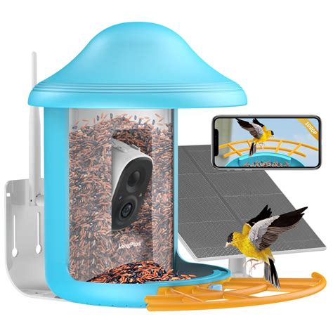 10 Best Bird Houses with Camera for Bird Watching - Hummingbirds Plus