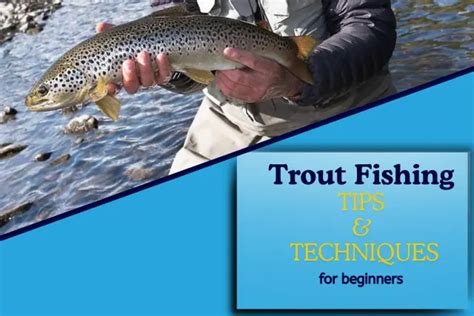 Trout Fishing For Beginners: 15 Tips & Complete Setup Guide