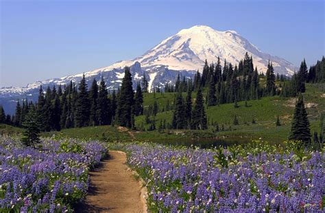 Top 20 Washington State Attractions You Just Cannot Miss | Things To Do ...