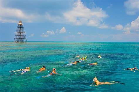 Key West Florida Reef Half-Day Snorkeling Excursion: Triphobo