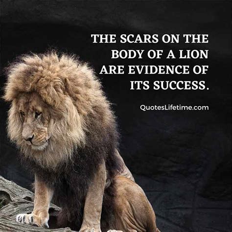 150+ Lion Quotes And Sayings With Images For Motivation